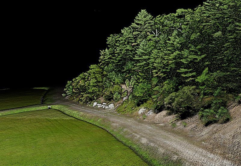 Finca Los Palmares - San Pedro